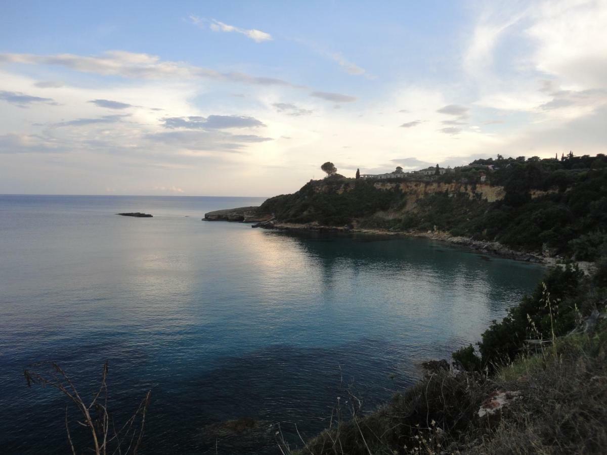 Yialos Daire *
